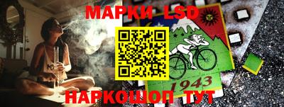 эйфоретик Можга