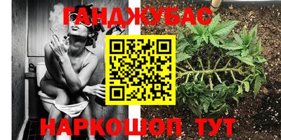 эйфоретик Можга