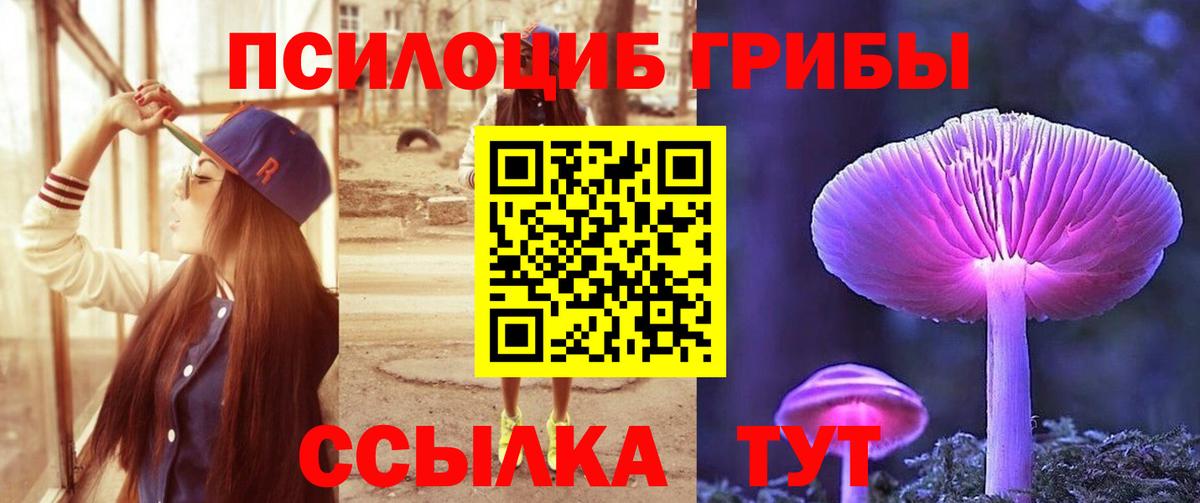 Псилоцибиновые грибы GOLDEN TEACHER  Вход с VPN  Владикавказ  Псилоцибиновые грибы Cubensis 